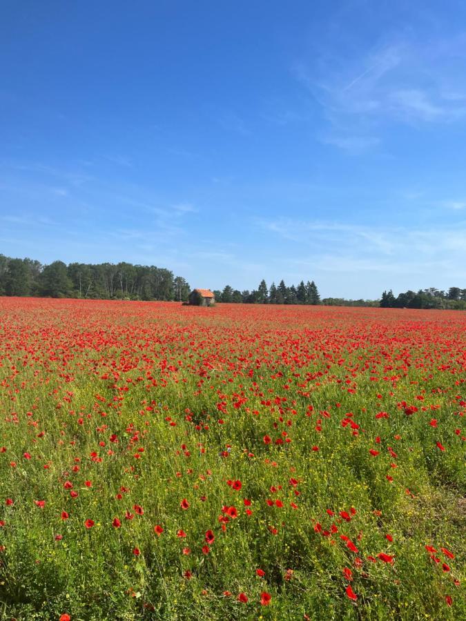 Bed and Breakfast Oh ! Fleurs Des Champs Chaumont-sur-Tharonne Exterior foto